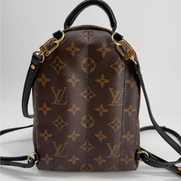 Louis Vuitton Palm Springs Backpack Mini Brown Canvas main image 12